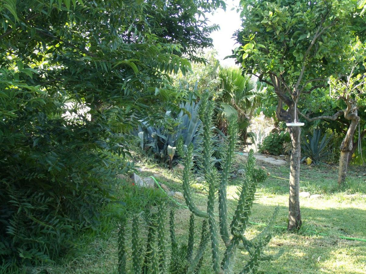 La Finca Blanca Alora Bagian luar foto